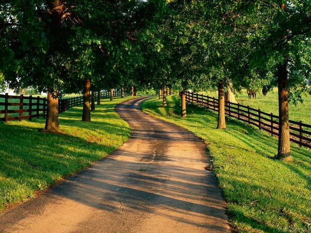 ddos在线攻击平台